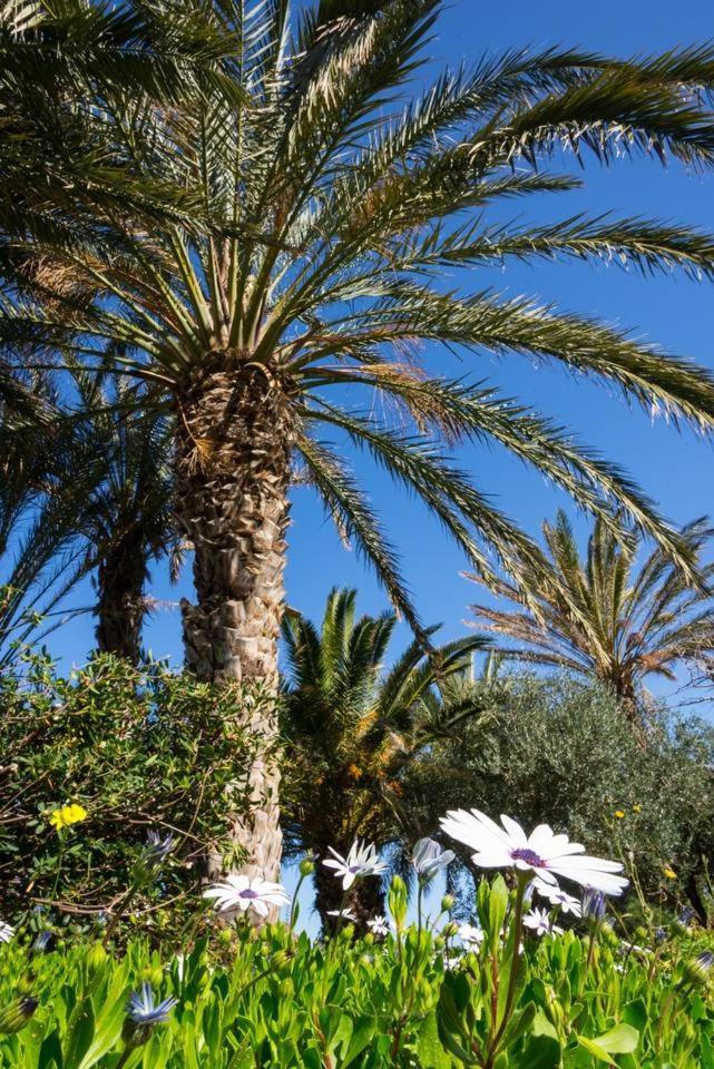 Bougainvillea House In Crete Σητεία Εξωτερικό φωτογραφία